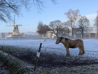 В Нидерландах пошел первый снег