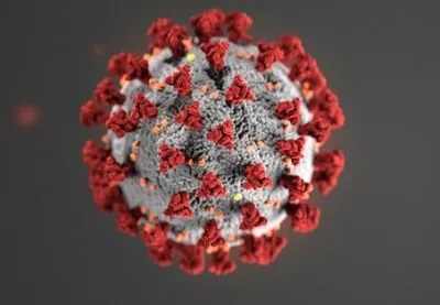 В Германии заподозрили первый случай штамма коронавируса Omicron