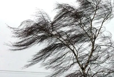 В Украине объявили штормовое предупреждение: сегодня утром ожидаются сильные порывы ветра