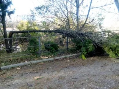 Окупований Севастополь накрив штормовий вітер: знеструмлено кілька районів