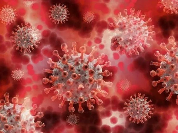 Змішування штамів коронавірусу може знизити наявні антитіла в організмі людини - швейцарські вчені