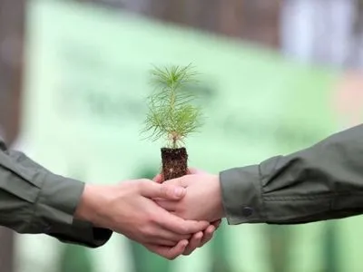 Програма Президента "Зелена країна": цієї осені висадили майже 58 млн дерев - це на 40 % більше, ніж планувалось