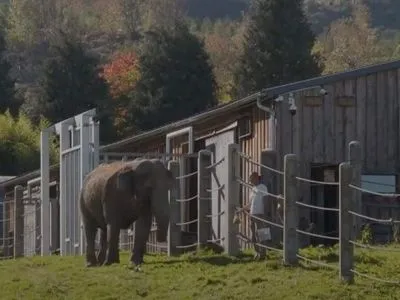 У Франції відкрили перший в Європі будинок престарілих для слонів