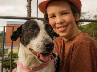 В Бразилии 11-летний мальчик купает, расчесывает бездомных собак, чтобы им было проще найти новую семью