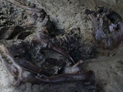 На пляжі в Італії виявили людський скелет, якому майже 2 тисячі років