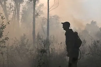 От Сибири до США: в этом году лесные пожары побили рекорды выбросов углексилого газа