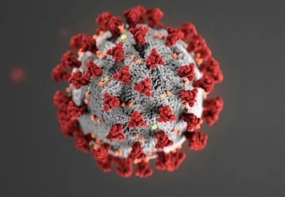 shtam-koronavirusu-omikron-pronik-u-rosiyu