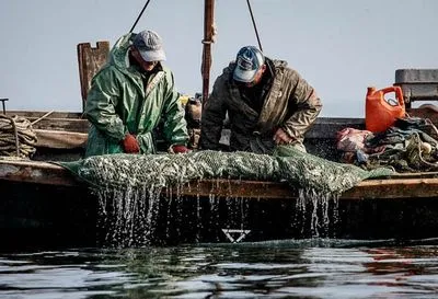Вилов українських промислових рибалок у Чорному та Азовському морях скоротився на чверть