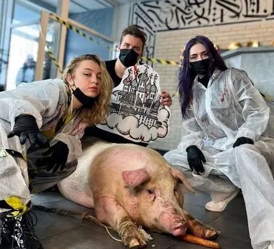 В столичный тату-салон “мастера” привели свинью, чтобы сделать ей огромное тату