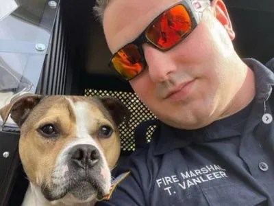 Мали приспати, але не зробили цього, тепер він рятує життя: у США собаці вручили нагороду “Герой правоохоронних органів 2021”