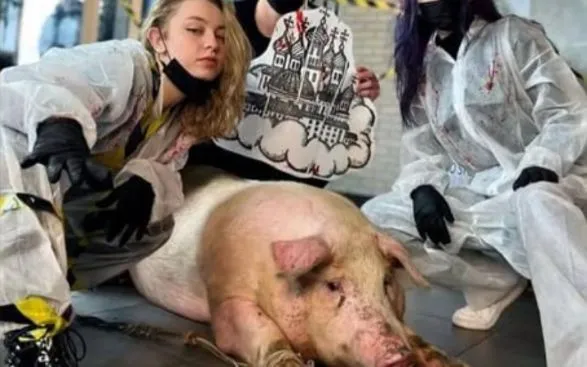 Полиция проверяет заявление об издевательстве над свиньей в тату-салоне Киева