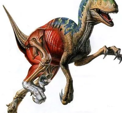 Вивчили відбитки лап: дослідники вирахували, з якою швидкістю могли бігати динозаври