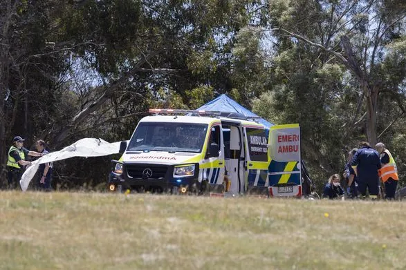 В Австралии в результате падения с надувного батута погибли пятеро детей