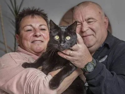 В Новой Зеландии кот систематически похищает вещи у местных жителей