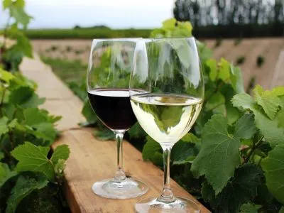 С 1 января в Украине отменены акцизные марки для некоторых вин