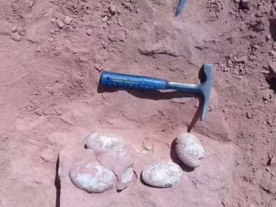 У Бразилії археологи виявили гніздо з яйцями динозавра