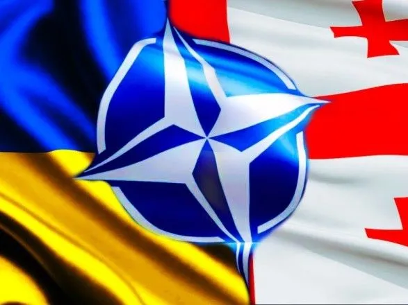 Посол Грузії в НАТО: Грузія та Україна сидять в одному човні