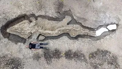 У Великій Британії знайшли 10-метровий скелет "морського дракона"