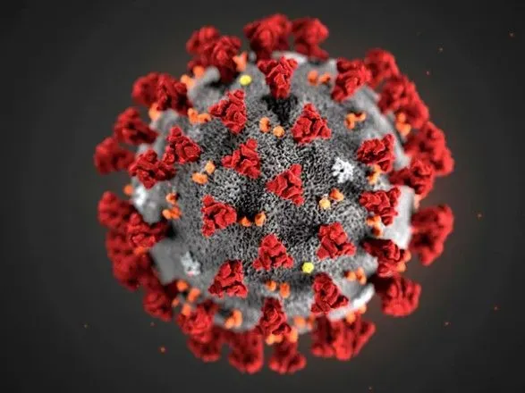 НАН: в Україні починається нова хвиля коронавірусу