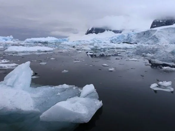 Небезпека від інвазивних видів: учені назвали загрозу від судноплавства для Антарктиди