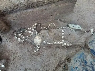 Китайские археологи нашли кладбище возрастом в 3 тысячи лет