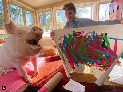 Пігкассо: у Південній Африці виявили першу у світі свиню-художника