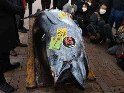 В Японії на аукціоні продали величезну рибу майже за 150 тисяч доларів