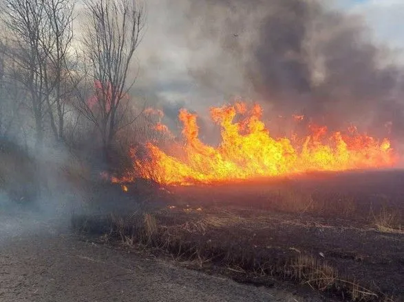 В Одеській області горить національний природний парк: що відомо