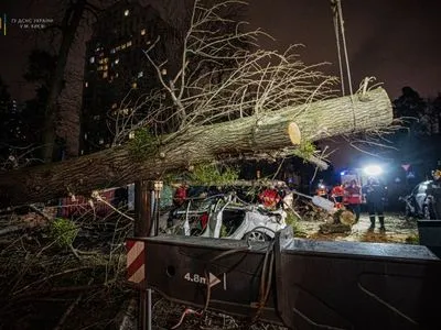 Наслідки буревію: у Києві дерево впало на автомобіль, є жертва