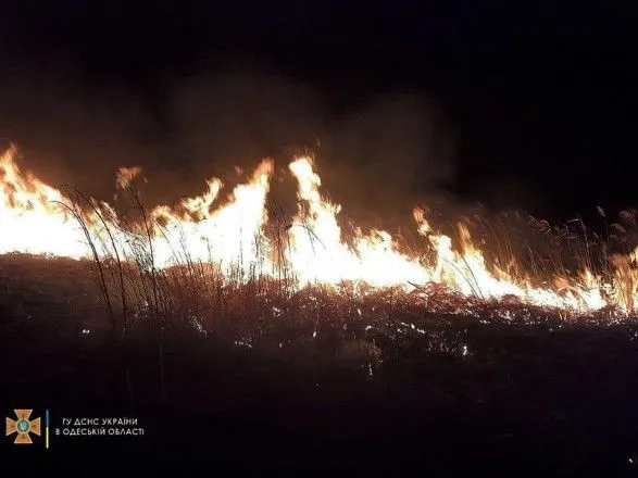 В Одессе горели поля фильтрации