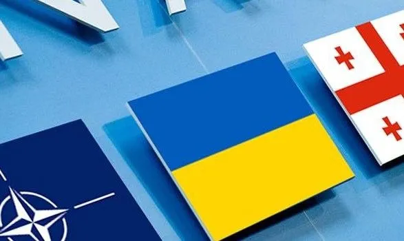 Украина согласовала позицию с Грузией относительно требований России к НАТО