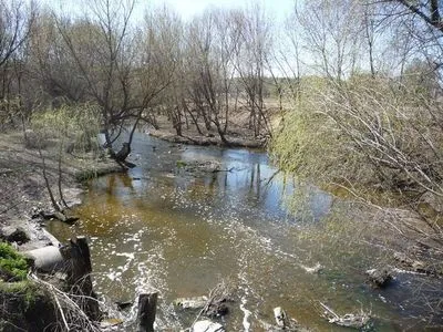 У Києві річка Сирець стала зеленою. Сьогодні візьмуть пробу води