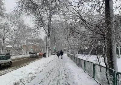Снегопад спровоцировал ряд ДТП в Одесской области