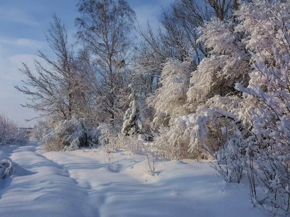 Сильні пориви вітру та снігопад: на Одещині триватиме погіршення погоди