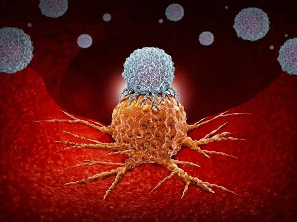 Обучить иммунитет: врач рассказала может ли организм научится распознавать и уничтожать раковые клетки