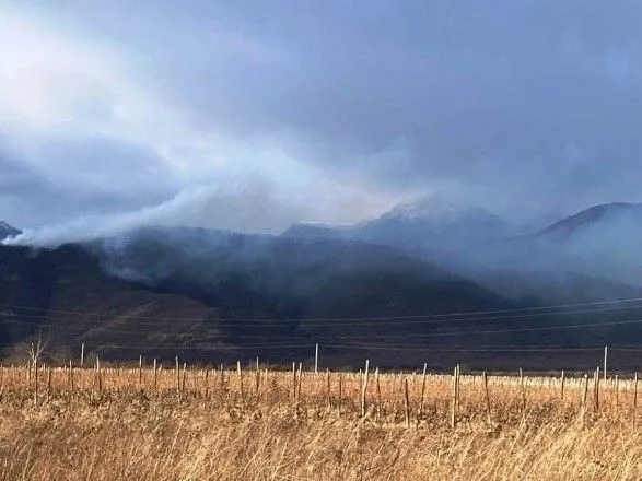 Лесной пожар тушат в Восточной Грузии