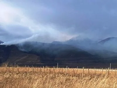 Лісову пожежу гасять у Східній Грузії