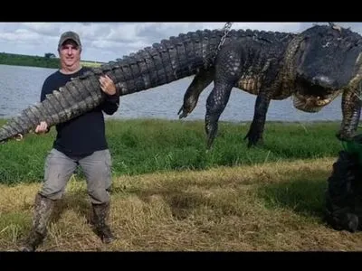 У США мисливець зловив алігатора вагою понад 400 кг