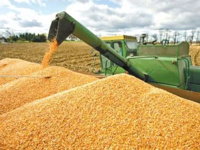 З елеватора ДП "Златодар" вкрали 5,5 тис. тонн зерна. Експерти вказують на масштабну корупційну схему