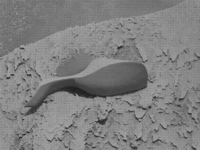 На Марсі знайшли черпак який може бути артефактом інопланетян