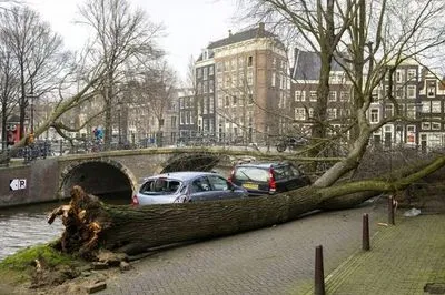 В Нидерландах шквальный ветер убил трех человек