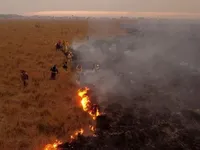 В Аргентине не могут остановить пожар, который уже уничтожил 600 000 гектаров земли