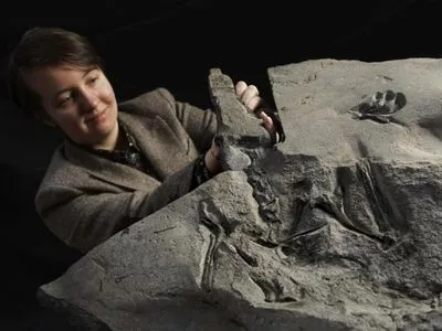 В Шотландии нашли окаменелость птерозавра, прекрасно сохранившуюся