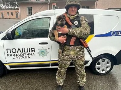 В кинологическом центре полиции в Киевской области появился щенок по кличке Байрактар, который способен предугадывать атаки врага