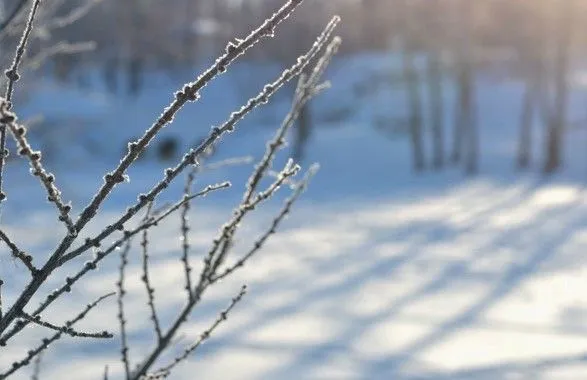 Небольшой снег и гололедица: синоптики дали прогноз на ближайшие дни
