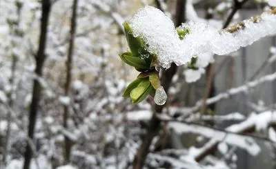 Завтра в окремих регіонах України дощ та мокрий сніг