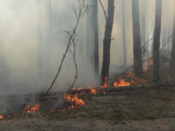 В Украине средняя площадь лесных пожаров выросла в семь раз