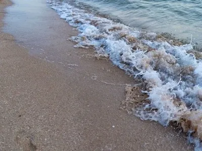 Біля чорноморського узбережжя Туреччини знову виявили морську міну