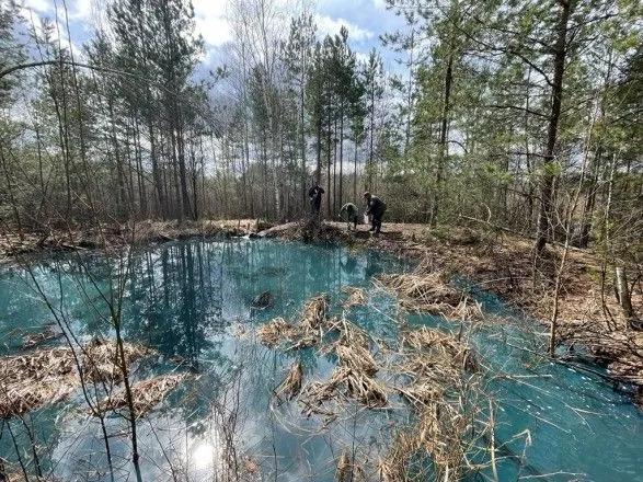 Вибух на нафтопродуктопроводі: у селі на Житомирщині розлилось дизпаливо
