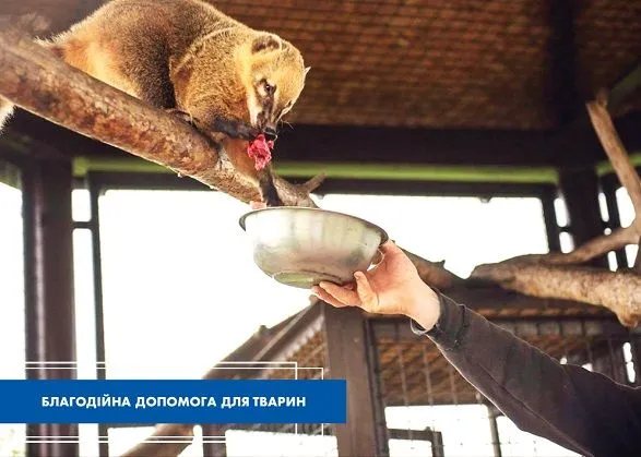 Многострадальный зоопарк "XII месяцев" в Киевской области получил благотворительный корм для животных